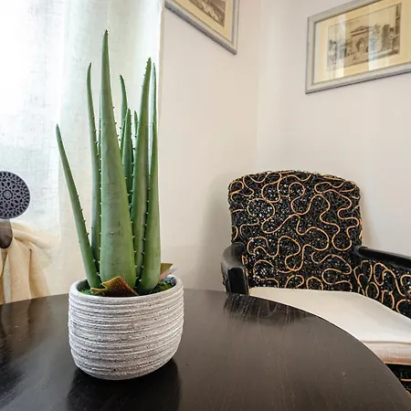 Corsini Guest house *